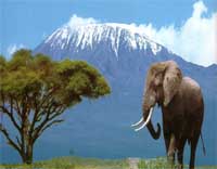 Mt Kilimanjaro